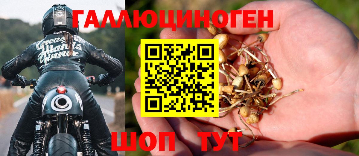 Псилоцибиновые грибы MAGIC MUSHROOMS  Вход с VPN  Обь 
